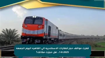 قفزت مواقف حجز قطارات الإسكندرية إلى القاهرة اليوم الجمعة 1-8-2025.. هل حجزت مكانك؟